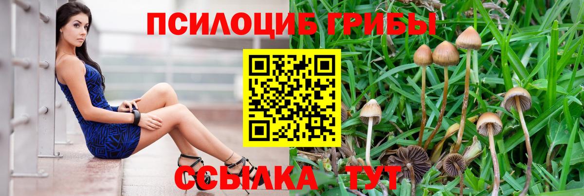 Псилоцибиновые грибы ЛСД  Псилоцибиновые грибы Psilocybine cubensis  Реж  Вход с VPN 